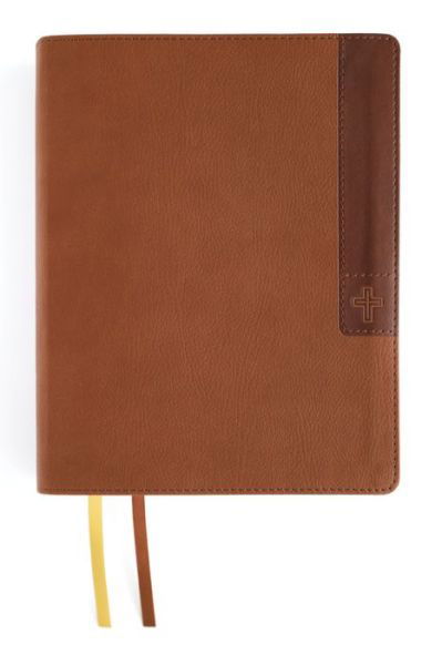 Cover for Zondervan · NIV, Journal the Word Bible, Large Print, Leathersoft, Brown, Red Letter, Comfort Print (Buch) (2024)