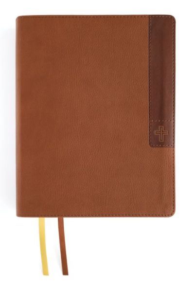 Cover for Zondervan · NIV, Journal the Word Bible, Large Print, Leathersoft, Brown, Red Letter, Comfort Print (Bog) (2024)