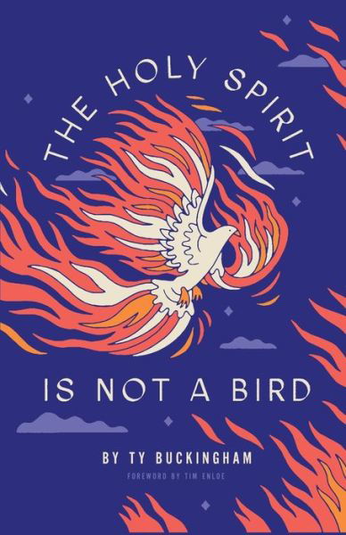 Cover for Ty Buckingham · The Holy Spirit Is Not A Bird (Paperback Bog) (2017)