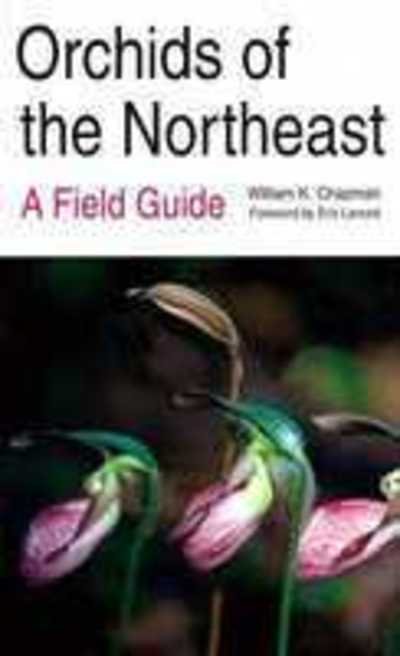 Orchids of the Northeast: A Field Guide - William K. Chapman - Books - Syracuse University Press - 9780815603429 - June 30, 1997