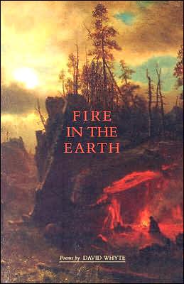 Cover for David Whyte · Fire in the Earth (Pocketbok) (1992)