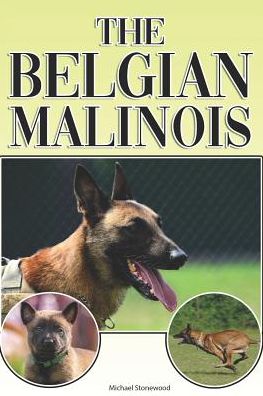 Cover for Michael Stonewood · The Belgian Malinois : A Complete and Comprehensive Beginners Guide to : Buying, Owning, Health, Grooming, Training, Obedience, Understanding and Caring for Your Belgian Malinois (Paperback Book) (2019)