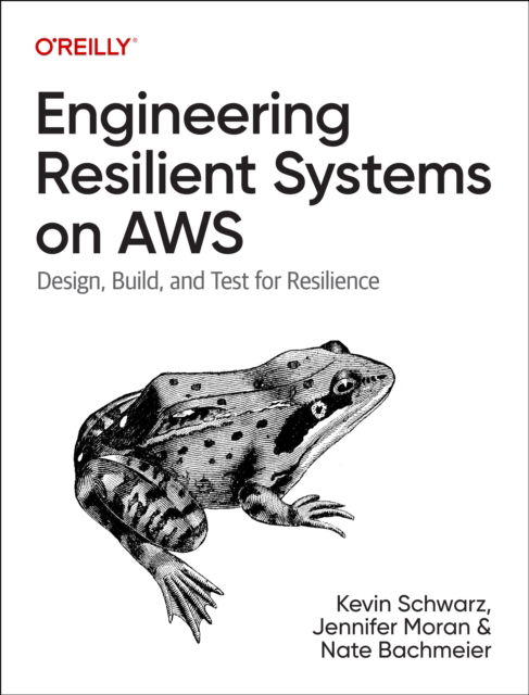 Kevin Schwarz · Engineering Resilient Systems on AWS: Design, Build, and Test for Resilience (Paperback Book) (2024)