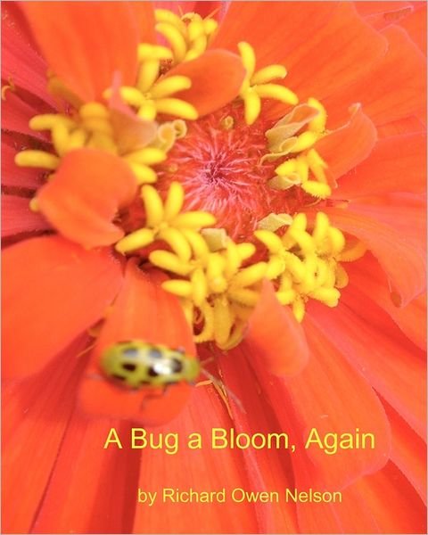 Cover for Richard Owen Nelson · A Bug a Bloom, Again: Blossoms and Bugs for Kids of All Ages (Paperback Book) (2007)