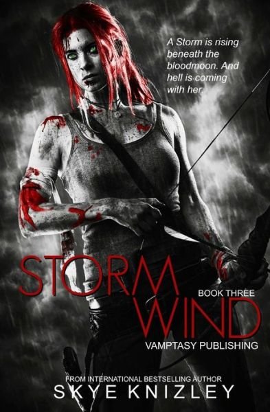 Cover for Skye Knizley · Stormwind (Pocketbok) (2015)