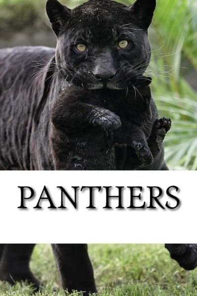 Cover for Panther · Panthers (Pocketbok) (2017)