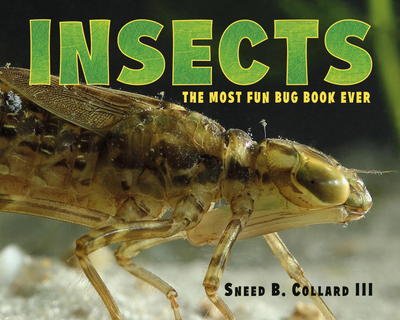 Insects: The Most Fun Bug Book Ever - Collard, Sneed B., III - Kirjat - Charlesbridge Publishing,U.S. - 9781580896429 - tiistai 21. maaliskuuta 2017