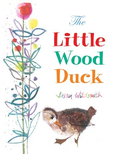 Cover for Brian Wildsmith · The Little Wood Duck (Hardcover Book) (2007)