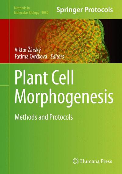 Cover for Viktor Arsky · Plant Cell Morphogenesis: Methods and Protocols - Methods in Molecular Biology (Hardcover Book) [2014 edition] (2013)