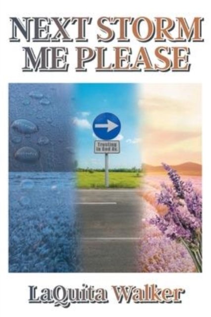 Cover for LaQuita Walker · Next Storm Me Please (Paperback Book) (2021)