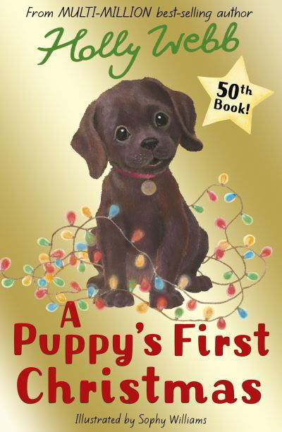 Cover for Holly Webb · A Puppy's First Christmas - Holly Webb: Animal Stories (Paperback Book) (2021)