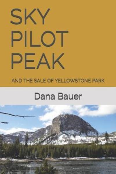 Cover for Dana Bauer · Sky Pilot Peak (Paperback Book) (2019)