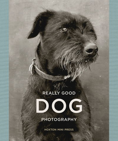 Cover for Lucy Davies · Really Good Dog Photography (Hardcover Book) (2017)