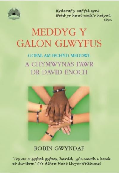 Meddyg y Galon Glwyfus - Gofal am Iechyd Meddwl a Chymwynas Fawr Dr David Enoch: Gofal am Iechyd Meddwl a Chymwynas Fawr Dr David Enoch - Robin Gwyndaf - Books - Cyhoeddiadau'r Gair - 9781859949429 - September 23, 2021