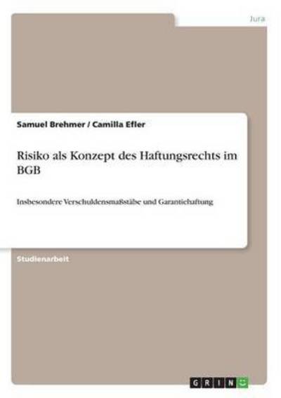 Cover for Brehmer · Risiko als Konzept des Haftungs (Book) (2017)