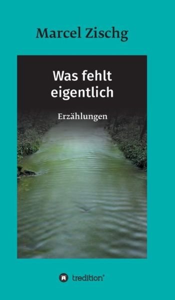 Cover for Zischg · Was fehlt eigentlich (Book) (2018)