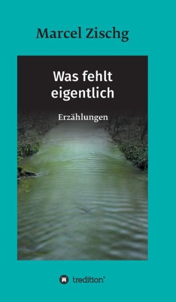 Cover for Zischg · Was fehlt eigentlich (Bok) (2018)