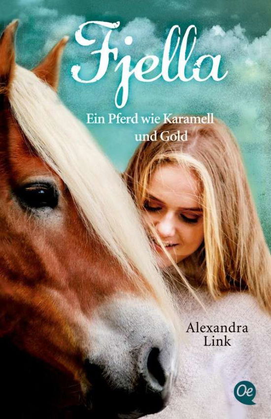 Cover for Link · Fjella (Buch)