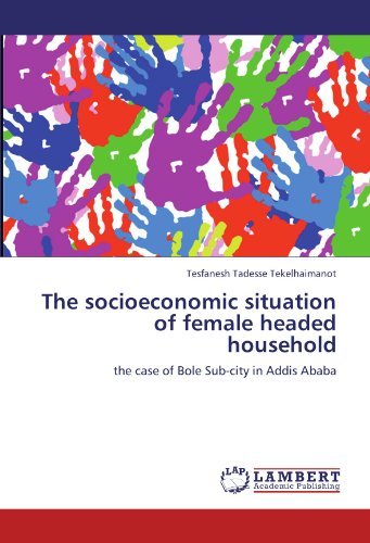 Cover for Tesfanesh Tadesse Tekelhaimanot · The Socioeconomic Situation of Female Headed Household: the Case of Bole Sub-city in Addis Ababa (Paperback Bog) (2011)