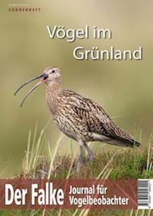 Cover for Redaktion Der Falke · Vögel im Grünland (Pocketbok) (2021)