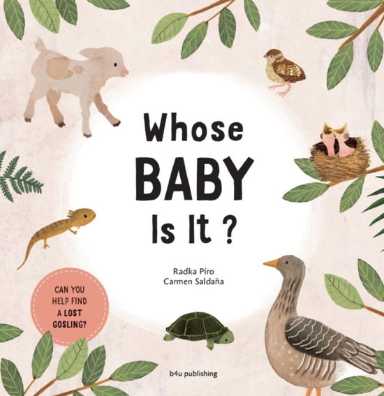 Cover for Radka Piro · Whose Baby Is It? - Stories from Nature (Board book) (2025)