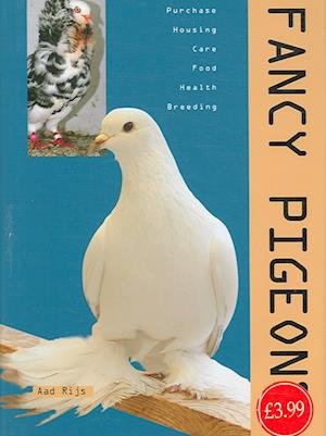 Cover for Pet Care  Fancy Pigeons (Book)
