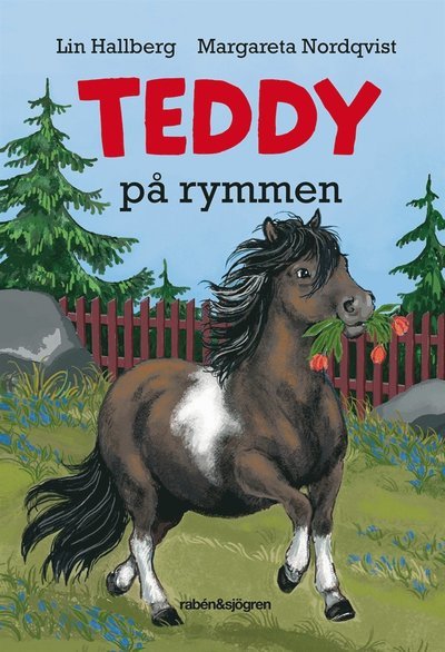 Cover for Lin Hallberg · Teddy: Teddy på rymmen (ePUB) (2018)