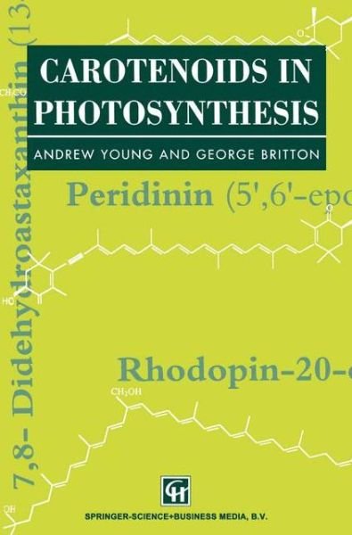 Cover for A Young · Carotenoids in Photosynthesis (Paperback Book) [Softcover reprint of the original 1st ed. 1993 edition] (2012)