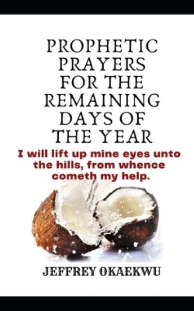 Cover for Jeffrey Okaekwu · Prophetic Prayers for the Remaining Days of Year (Paperback Book) (2020)