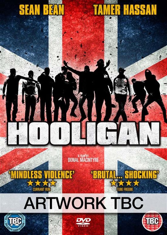 Hooligan - Movie - Filmes - E1 - 5030305515430 - 20 de agosto de 2012