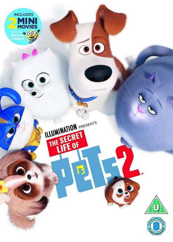 Cover for The Secret Life of Pets 2 · Secret Life Of Pets 2 (DVD) (2019)