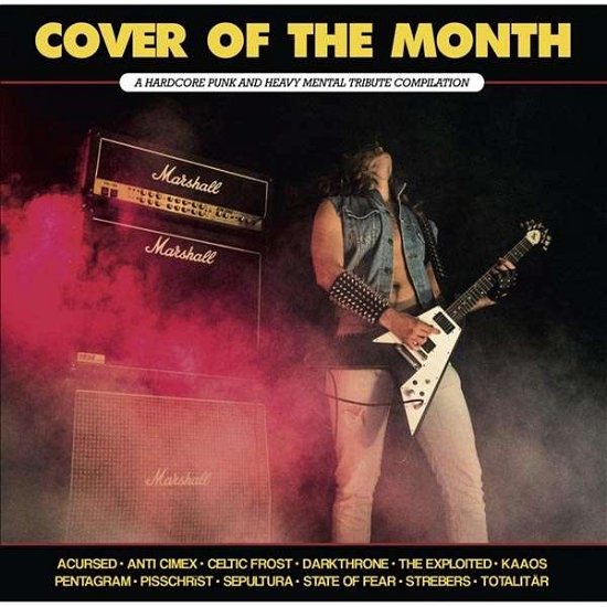 Cover for Paranoid · Cover of the Month (LP) (2017)