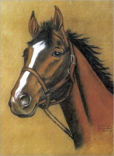 Cover for Dover Dover · Horse Notebook (MERCH) [Green edition] (2012)