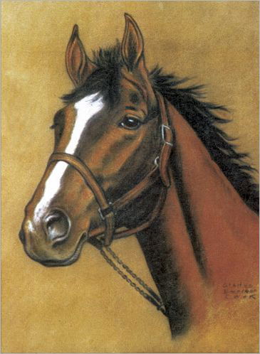 Horse Notebook - Dover Dover - Merchandise - Dover Publications Inc. - 9780486498430 - August 28, 2012