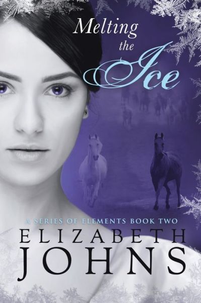 Cover for Elizabeth Johns · Melting the Ice (Paperback Book) (2016)