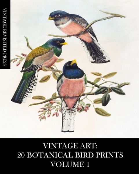 Vintage Art - Vintage Revisited Press - Boeken - Blurb - 9781006675430 - 23 augustus 2024