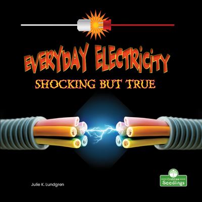 Cover for Julie K Lundgren · Everyday Electricity, Shocking But True (Paperback Book) (2021)