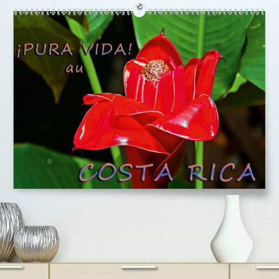 Cover for Schoen · ¡Pura Vida! au Costa Rica (Premi (Book)