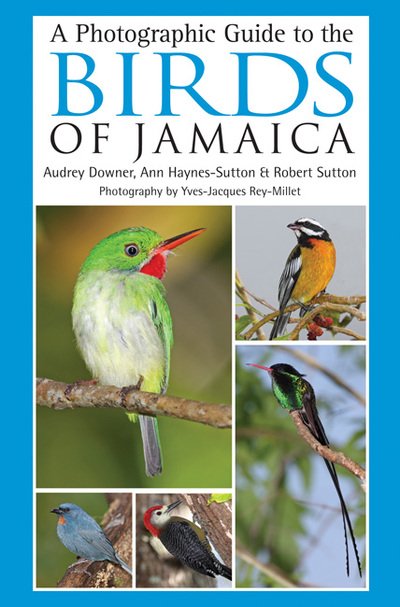 A Photographic Guide to the Birds of Jamaica - Ann Haynes-Sutton - Kirjat - Bloomsbury Publishing PLC - 9781408107430 - maanantai 15. kesäkuuta 2009