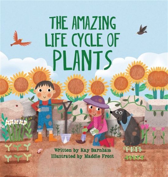 Cover for Kay Barnham · The Amazing Life Cycle of Plants (Gebundenes Buch) (2018)