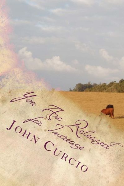 Cover for Rev John M Curcio · You Are Released for Increase (Paperback Book) (2014)