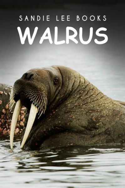 Cover for Sandie Lee Books · Walrus - Sandie Lee Books (Paperback Book) (2014)