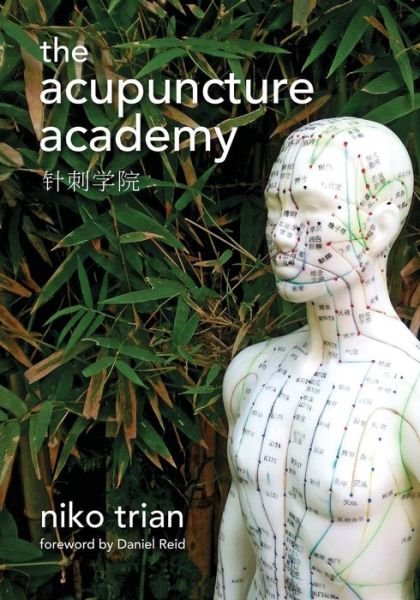 Cover for Niko Trian · Acupuncture Academy (Pocketbok) (2015)