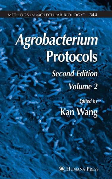 Cover for Kan Wang · Agrobacterium Protocols: Volume II - Methods in Molecular Biology (Hardcover Book) [2nd ed. 2007 edition] (2006)