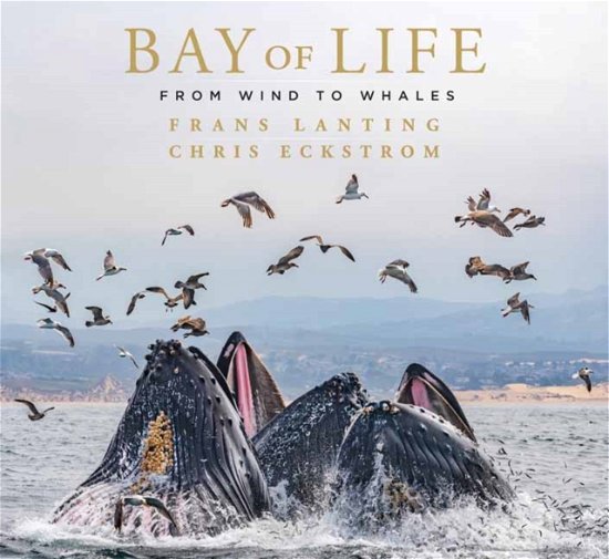 Cover for Frans Lanting · Bay of Life: From Wind to Whales - Mandala Earth (Hardcover Book) (2022)