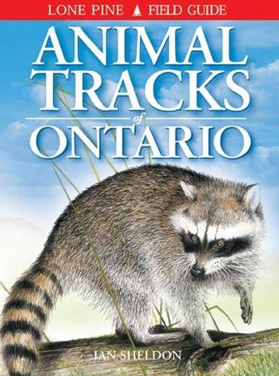 Cover for Ian Sheldon · Animal Tracks of Ontario (Paperback Book) (2021)