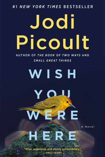 Cover for Jodi Picoult · Wish You Were Here (Paperback Book) (2022)