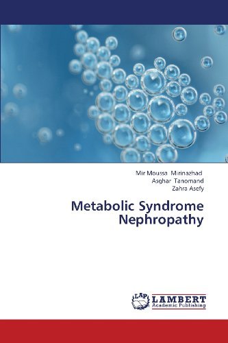 Cover for Zahra Asefy · Metabolic Syndrome Nephropathy (Paperback Book) (2013)
