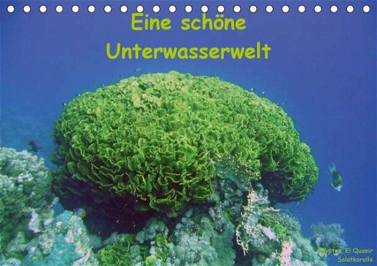 Cover for Bauch · Eine schöne Unterwasserwelt (Tisc (Book)