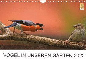 Cover for Lutz Klapp · Vögel in unseren Gärten 2022 (Wandkalender 2022 DIN A4 quer) (Calendar) (2021)